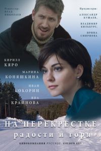 На перекрёстке радости и горя (2015)