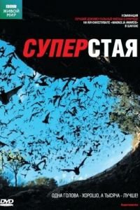 BBC: Суперстая (2009)